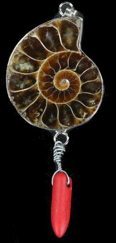 Fossil Ammonite Pendant - Million Years Old #38151